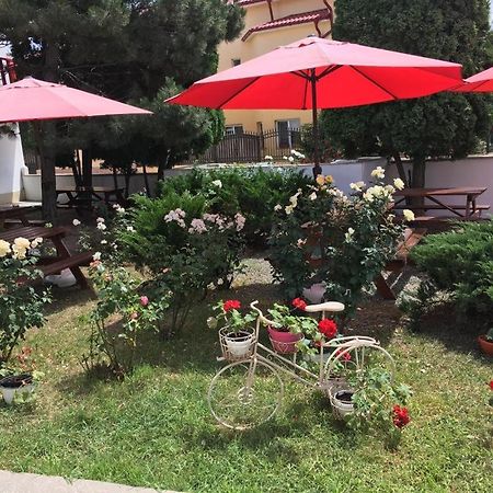 Pensiunea Acf Tineretului Hotel Costinesti Buitenkant foto