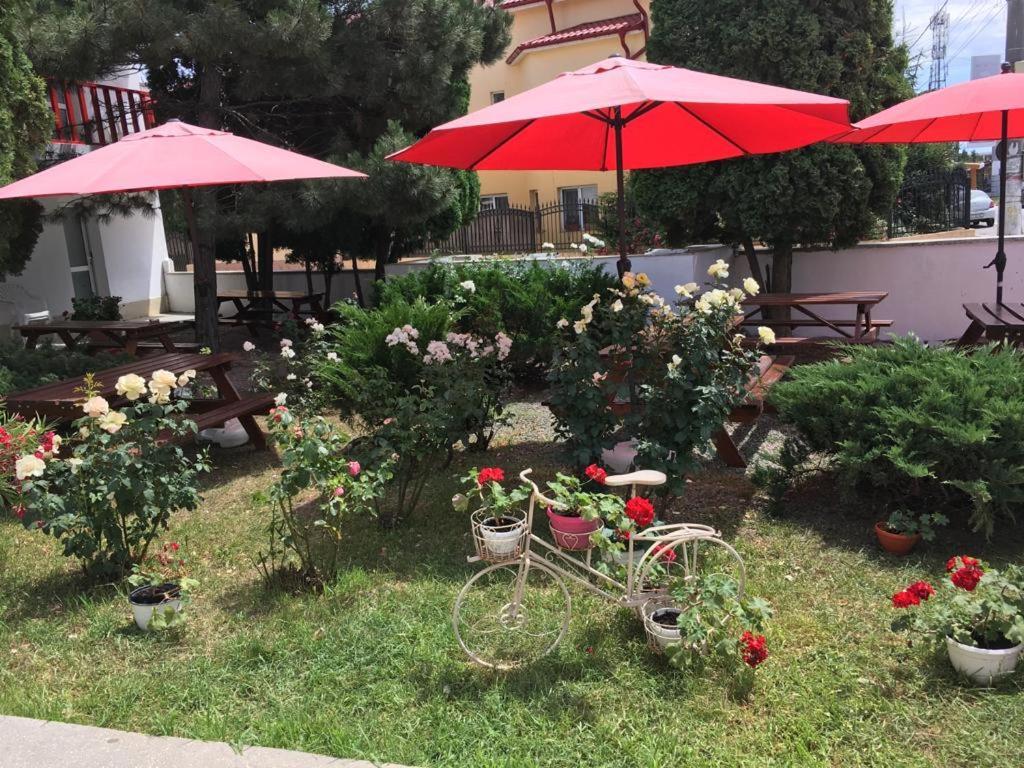 Pensiunea Acf Tineretului Hotel Costinesti Buitenkant foto